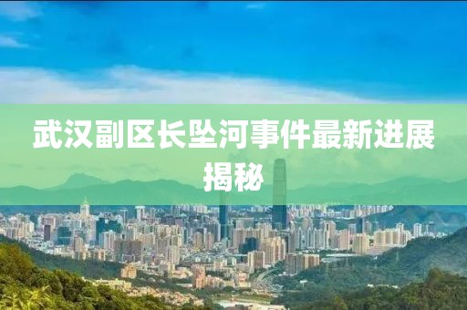 武汉副区长坠河事件最新进展揭秘