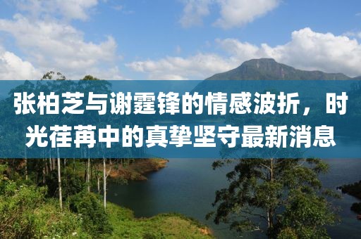 张柏芝与谢霆锋的情感波折，时光荏苒中的真挚坚守最新消息