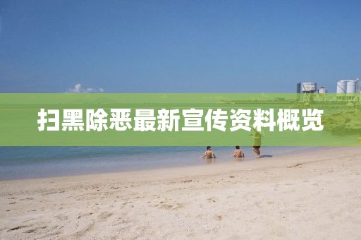扫黑除恶最新宣传资料概览