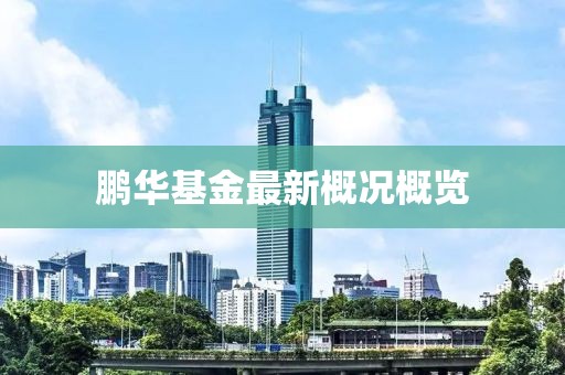 鹏华基金最新概况概览