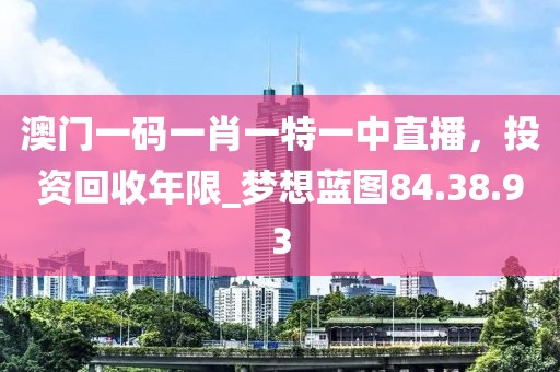 澳门一码一肖一特一中直播，投资回收年限_梦想蓝图84.38.93