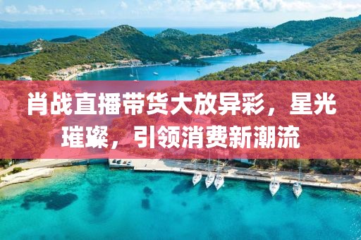 肖战直播带货大放异彩，星光璀璨，引领消费新潮流