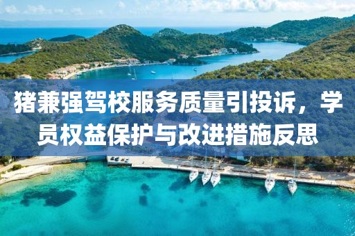 猪兼强驾校服务质量引投诉，学员权益保护与改进措施反思