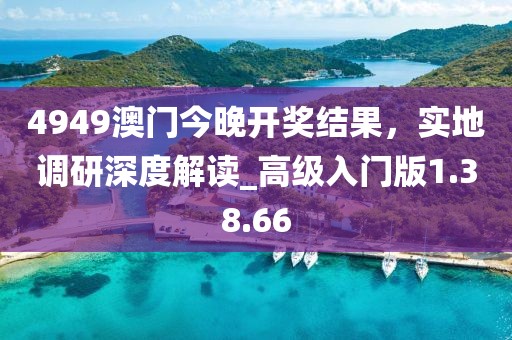 4949澳门今晚开奖结果，实地调研深度解读_高级入门版1.38.66