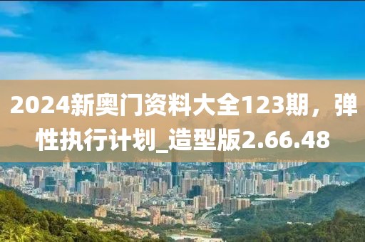 2024新奥门资料大全123期，弹性执行计划_造型版2.66.48