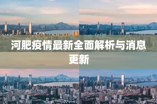 河肥疫情最新全面解析与消息更新
