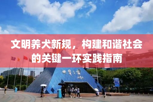 文明养犬新规，构建和谐社会的关键一环实践指南