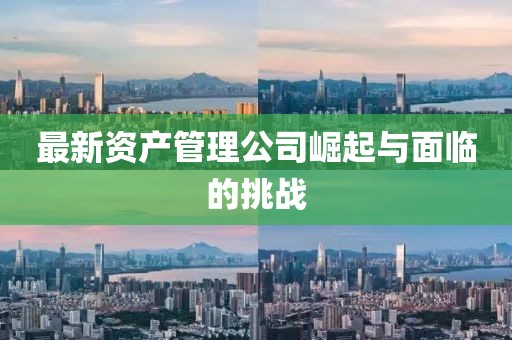 最新资产管理公司崛起与面临的挑战
