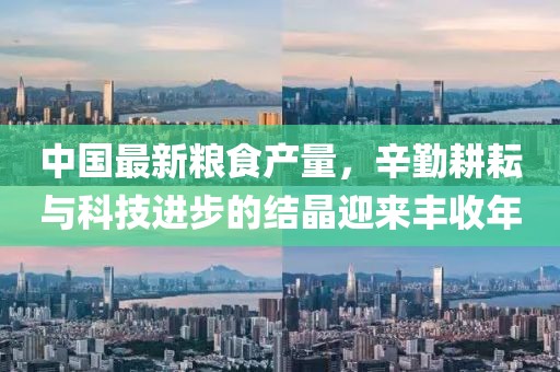 中国最新粮食产量，辛勤耕耘与科技进步的结晶迎来丰收年