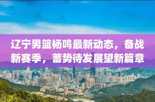 辽宁男篮杨鸣最新动态，备战新赛季，蓄势待发展望新篇章