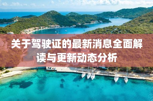 关于驾驶证的最新消息全面解读与更新动态分析
