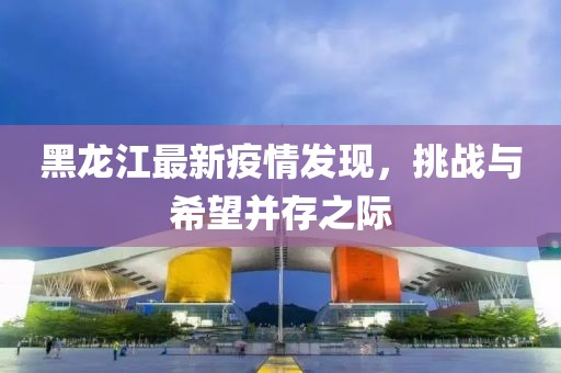 黑龙江最新疫情发现，挑战与希望并存之际