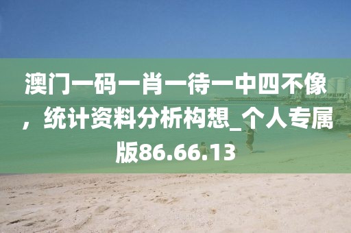 澳门一码一肖一待一中四不像，统计资料分析构想_个人专属版86.66.13
