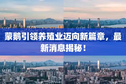 蒙鹅引领养殖业迈向新篇章，最新消息揭秘！