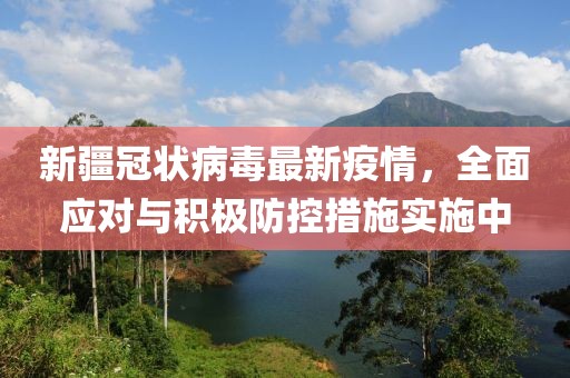 新疆冠状病毒最新疫情，全面应对与积极防控措施实施中