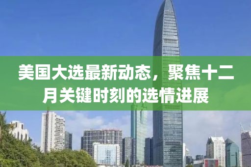 美国大选最新动态，聚焦十二月关键时刻的选情进展