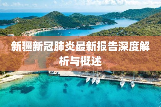 新疆新冠肺炎最新报告深度解析与概述