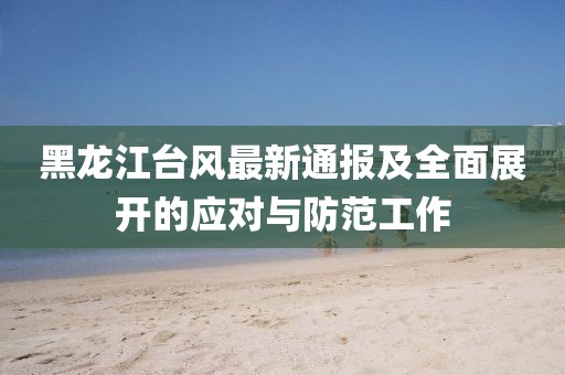黑龙江台风最新通报及全面展开的应对与防范工作