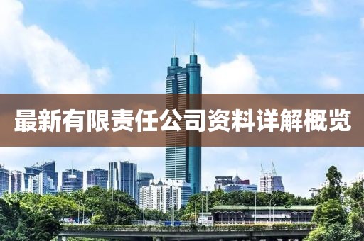 最新有限责任公司资料详解概览