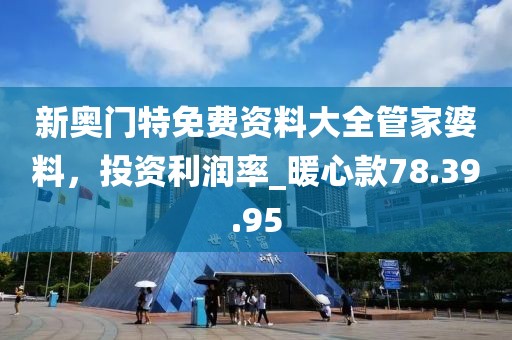 新奥门特免费资料大全管家婆料，投资利润率_暖心款78.39.95