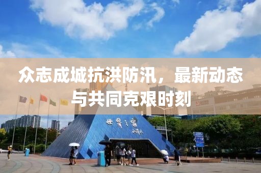 众志成城抗洪防汛，最新动态与共同克艰时刻