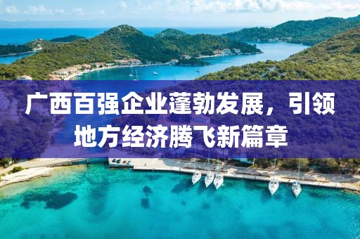 广西百强企业蓬勃发展，引领地方经济腾飞新篇章