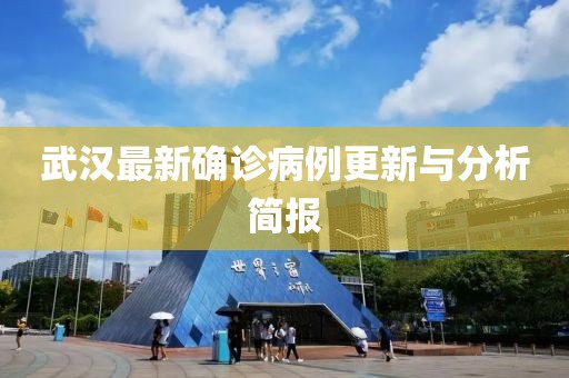 武汉最新确诊病例更新与分析简报