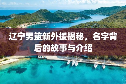 辽宁男篮新外援揭秘，名字背后的故事与介绍