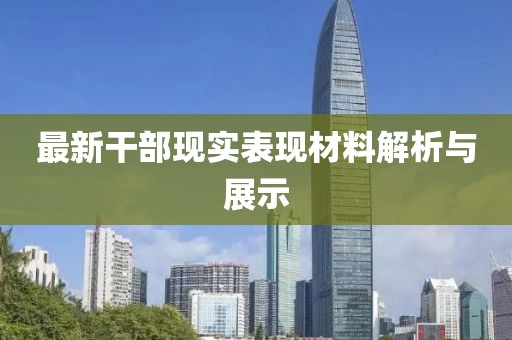 最新干部现实表现材料解析与展示