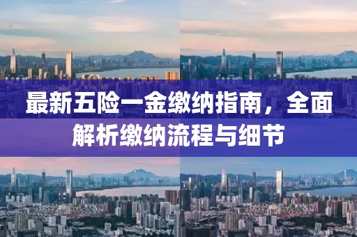 最新五险一金缴纳指南，全面解析缴纳流程与细节