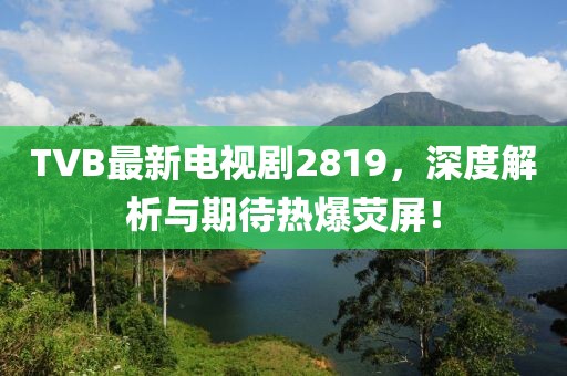 TVB最新电视剧2819，深度解析与期待热爆荧屏！