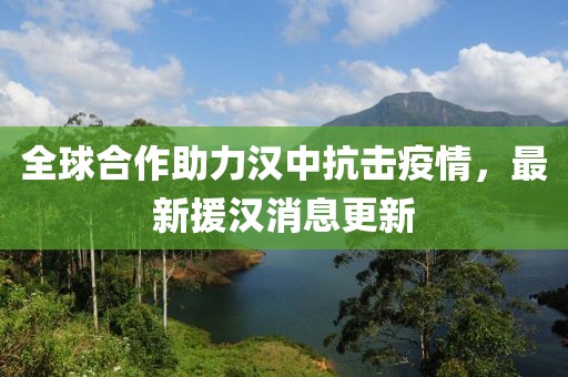 全球合作助力汉中抗击疫情，最新援汉消息更新