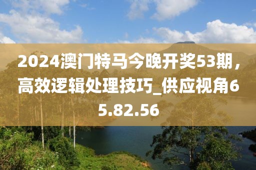 2024澳门特马今晚开奖53期，高效逻辑处理技巧_供应视角65.82.56