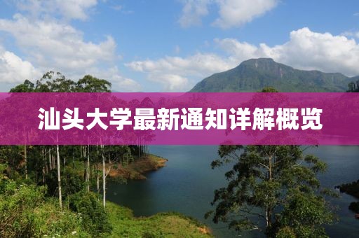 初遇在故事开头 第11页
