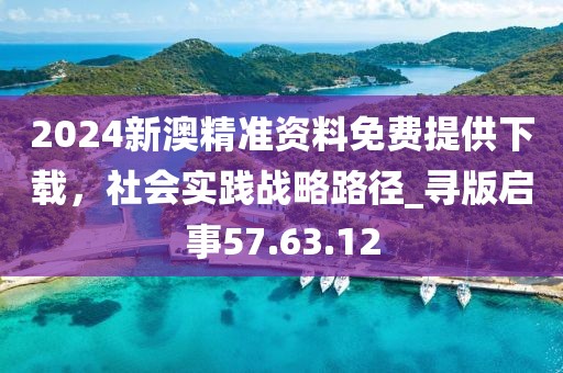 2024新澳精准资料免费提供下载，社会实践战略路径_寻版启事57.63.12