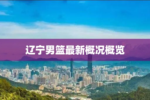 辽宁男篮最新概况概览