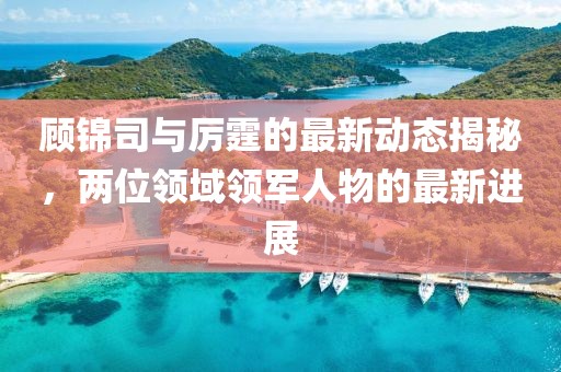 顾锦司与厉霆的最新动态揭秘，两位领域领军人物的最新进展