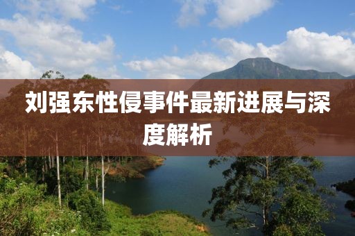刘强东性侵事件最新进展与深度解析