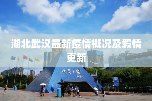 湖北武汉最新疫情概况及毅情更新