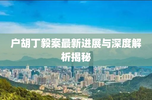 户胡丁毅案最新进展与深度解析揭秘