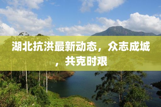 湖北抗洪最新动态，众志成城，共克时艰