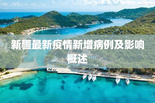 新疆最新疫情新增病例及影响概述