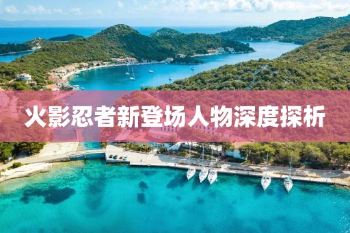 火影忍者新登场人物深度探析