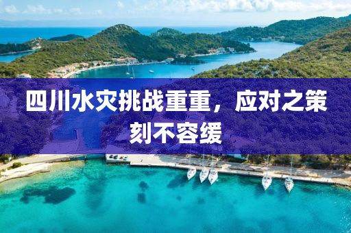 四川水灾挑战重重，应对之策刻不容缓