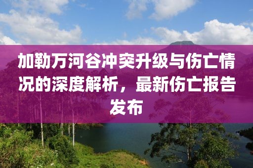 加勒万河谷冲突升级与伤亡情况的深度解析，最新伤亡报告发布