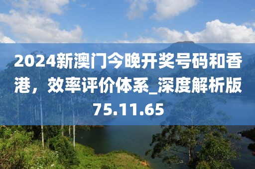 2024新澳门今晚开奖号码和香港，效率评价体系_深度解析版75.11.65