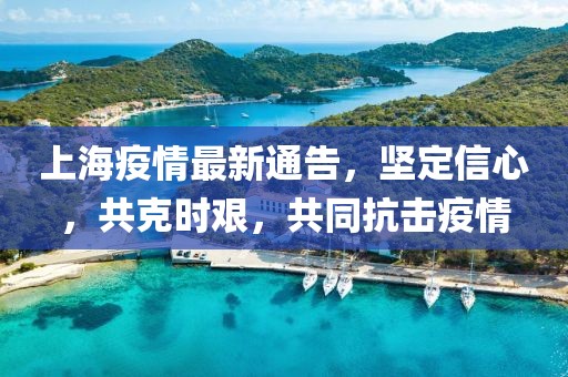 上海疫情最新通告，坚定信心，共克时艰，共同抗击疫情