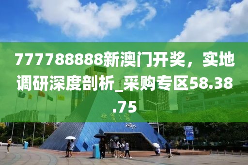 777788888新澳门开奖，实地调研深度剖析_采购专区58.38.75
