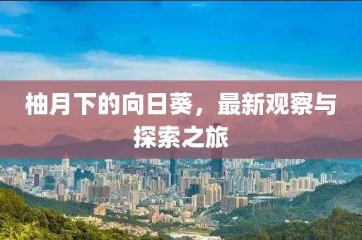 柚月下的向日葵，最新观察与探索之旅