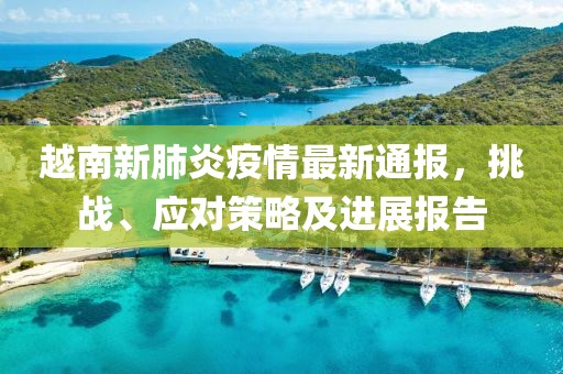 越南新肺炎疫情最新通报，挑战、应对策略及进展报告